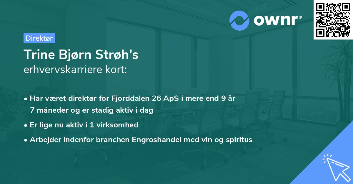 Trine Bjørn Strøh's erhvervskarriere kort