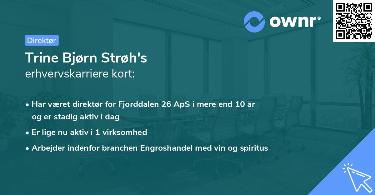 Trine Bjørn Strøh's erhvervskarriere kort