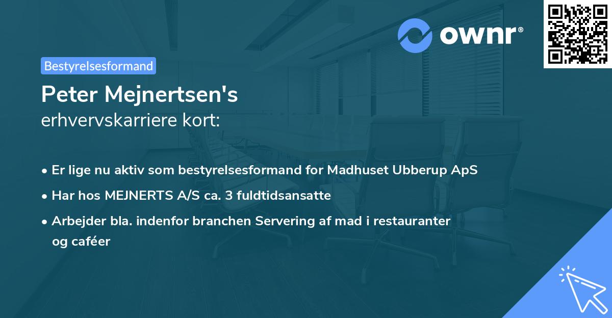 Peter Mejnertsen's erhvervskarriere kort
