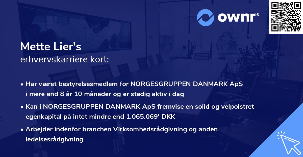 Mette Lier's erhvervskarriere kort