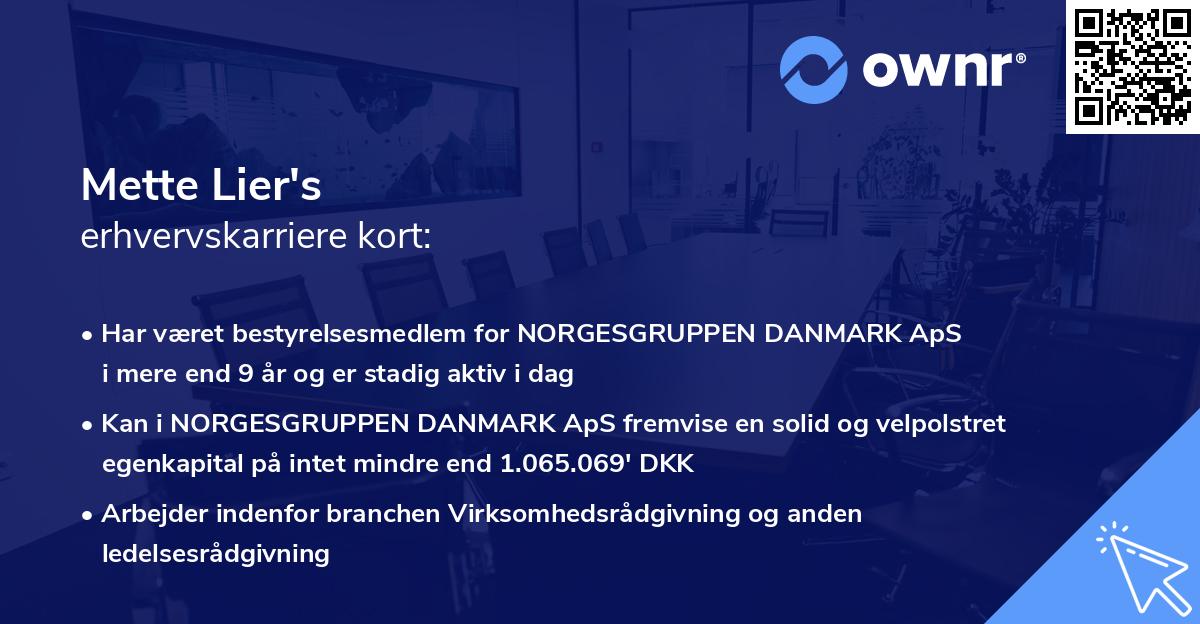 Mette Lier's erhvervskarriere kort