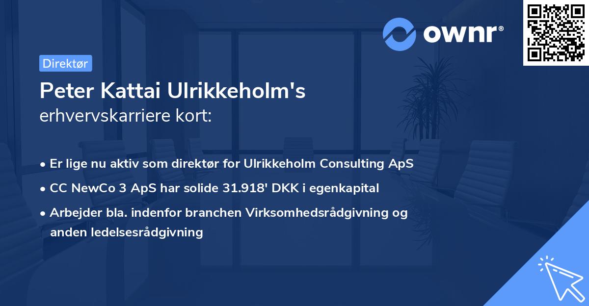 Peter Kattai Ulrikkeholm's erhvervskarriere kort