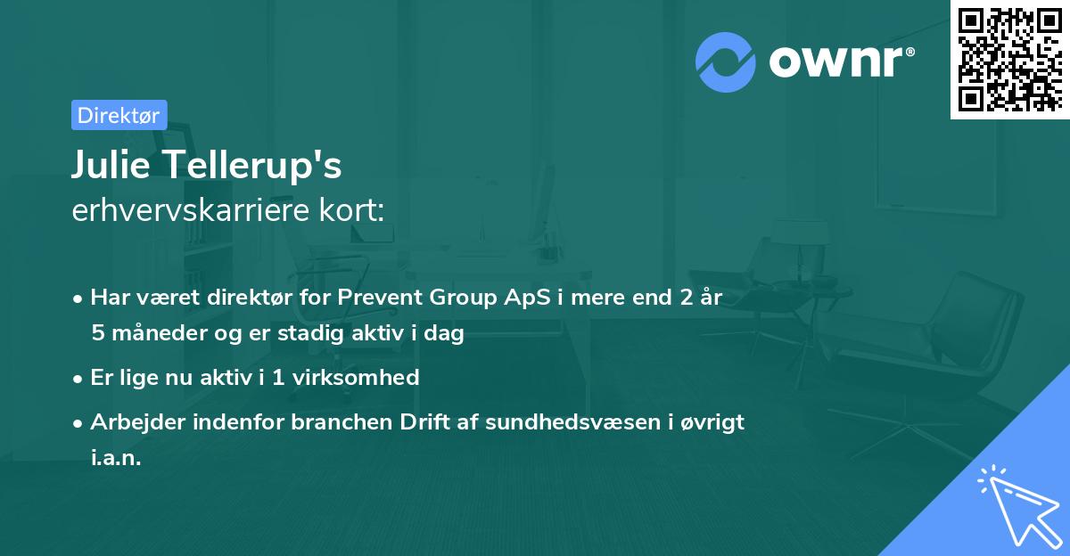 Julie Tellerup's erhvervskarriere kort
