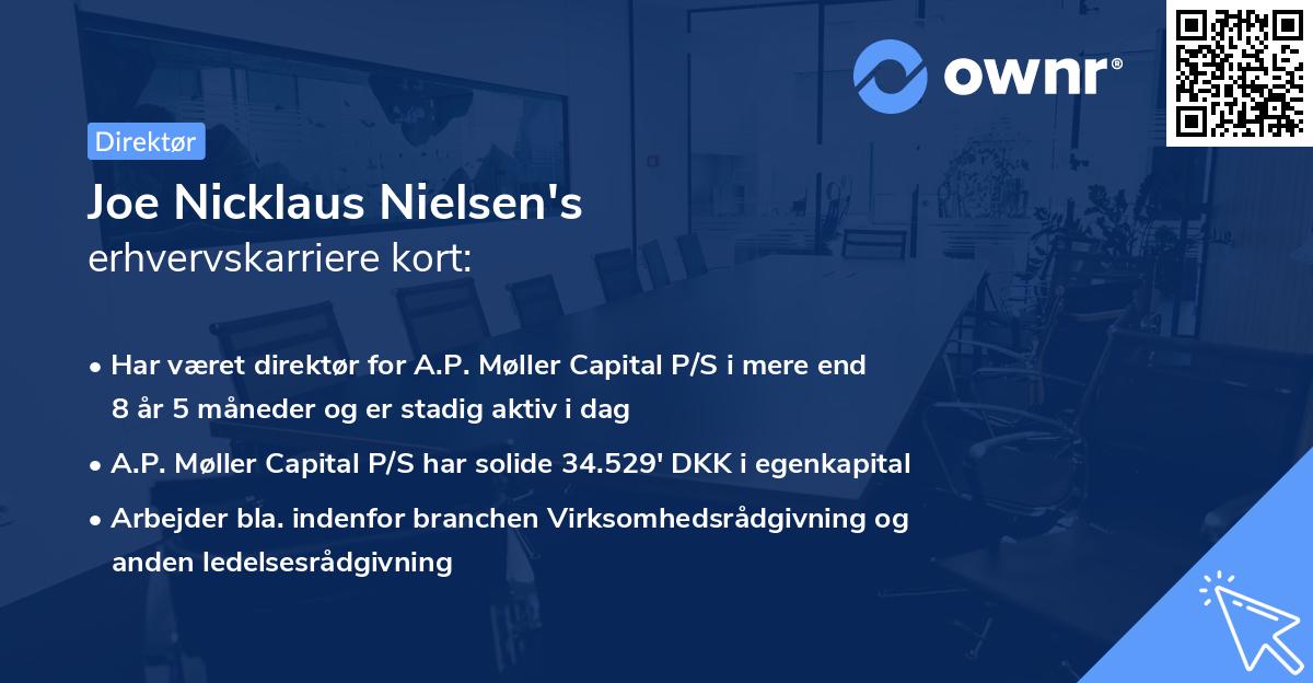 Joe Nicklaus Nielsen's erhvervskarriere kort
