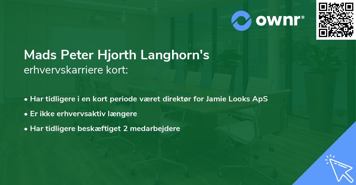 Mads Peter Hjorth Langhorn's erhvervskarriere kort