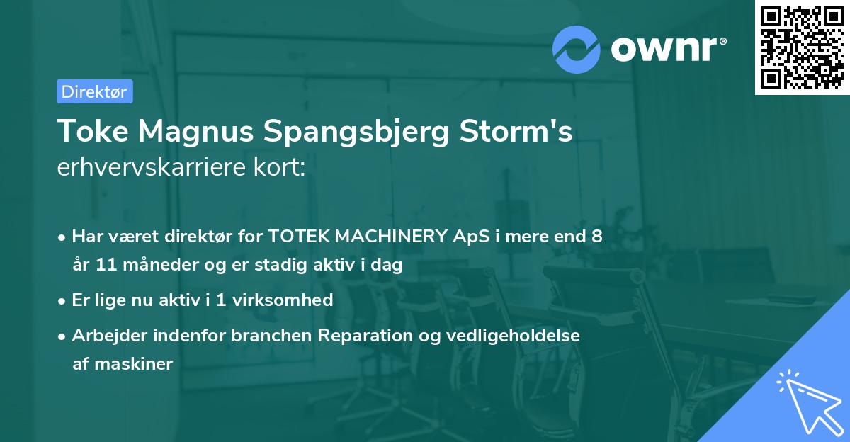 Toke Magnus Spangsbjerg Storm's erhvervskarriere kort