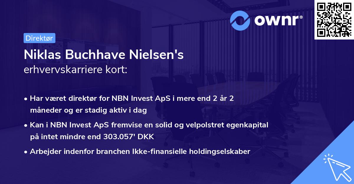 Niklas Buchhave Nielsen's erhvervskarriere kort