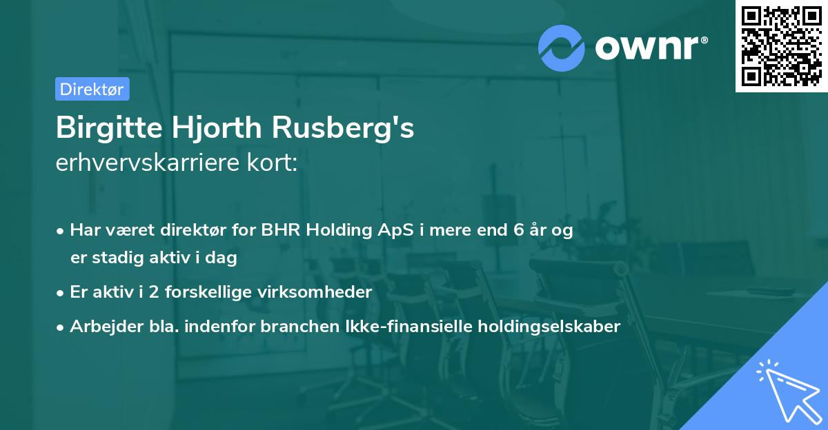 Birgitte Hjorth Rusberg's erhvervskarriere kort