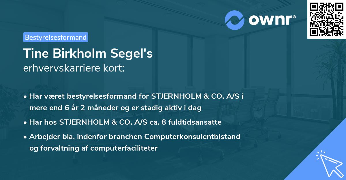 Tine Birkholm Segel's erhvervskarriere kort