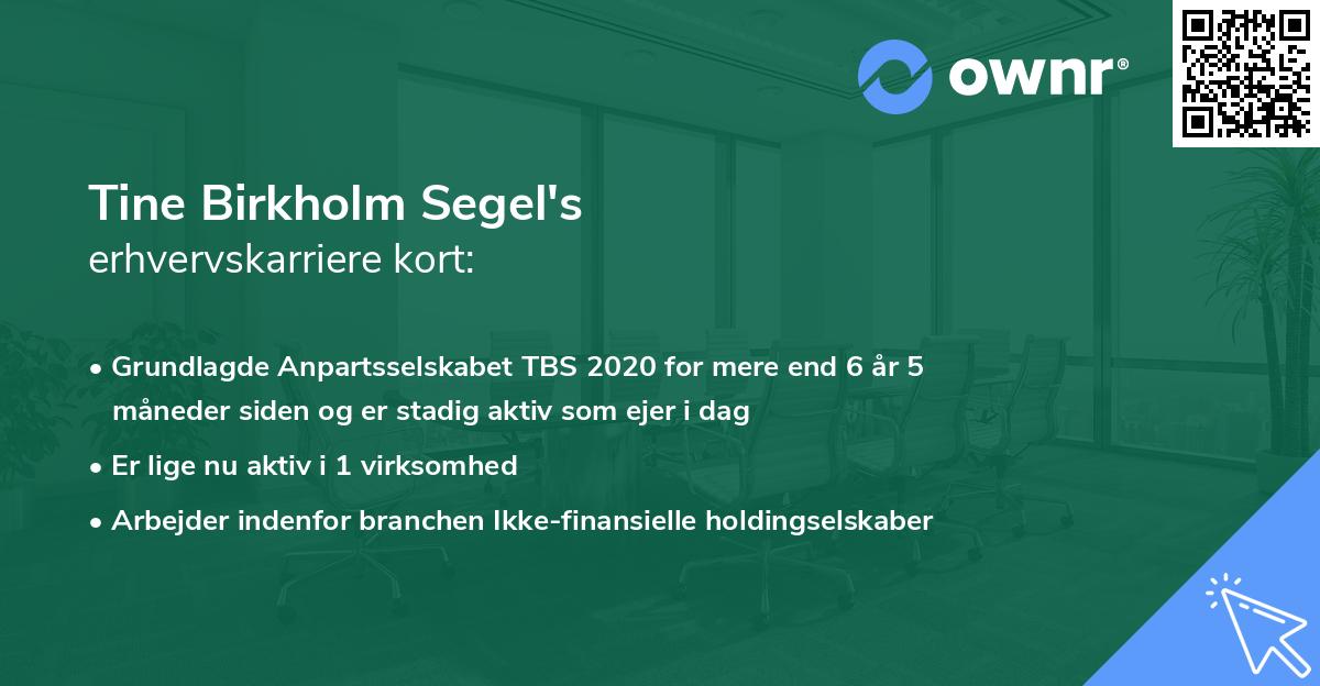 Tine Birkholm Segel's erhvervskarriere kort