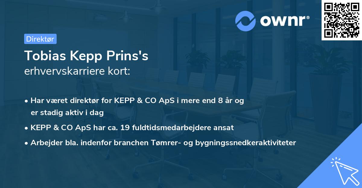 Tobias Kepp Prins's erhvervskarriere kort