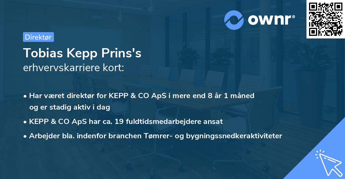 Tobias Kepp Prins's erhvervskarriere kort