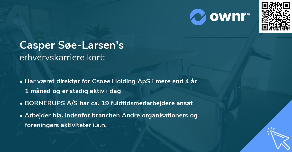 Casper Søe-Larsen's erhvervskarriere kort