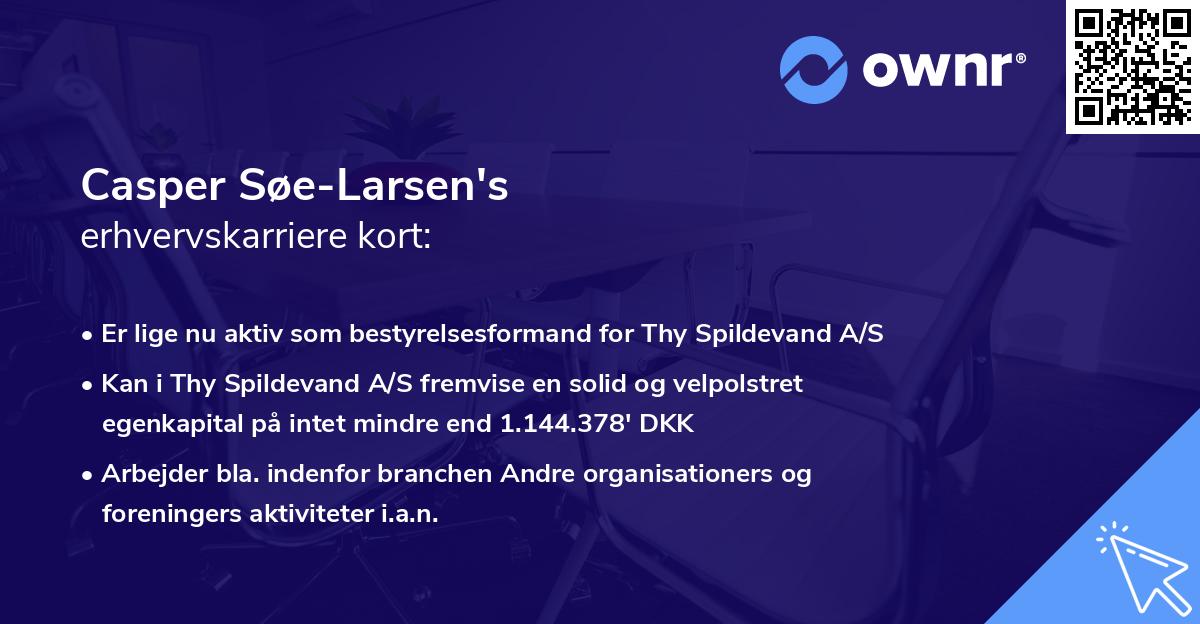 Casper Søe-Larsen's erhvervskarriere kort