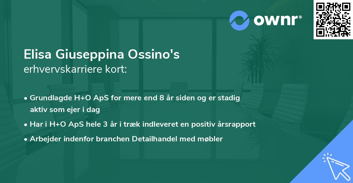 Elisa Giuseppina Ossino's erhvervskarriere kort