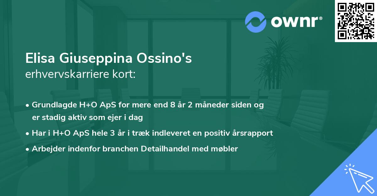 Elisa Giuseppina Ossino's erhvervskarriere kort