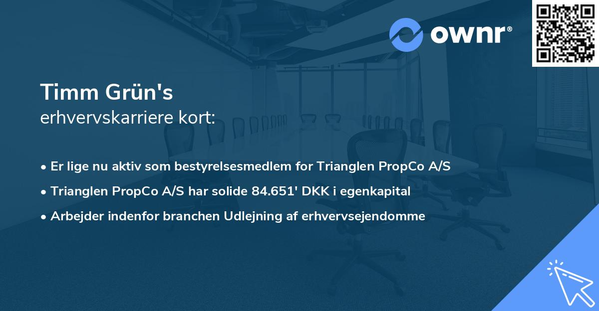 Timm Grün's erhvervskarriere kort