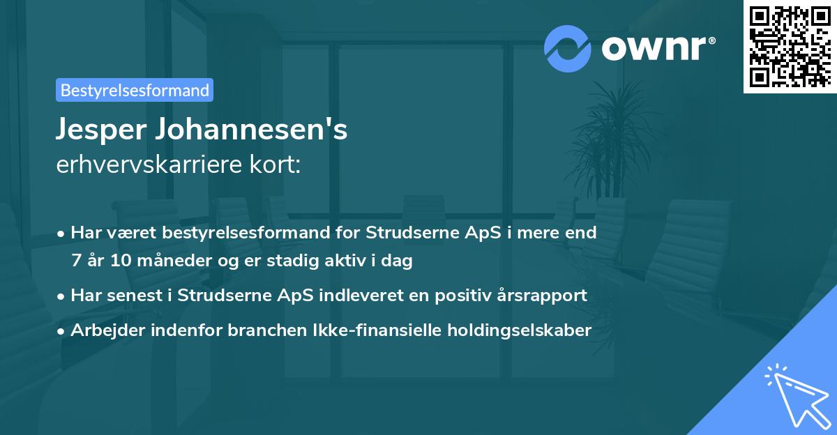 Jesper Johannesen's erhvervskarriere kort