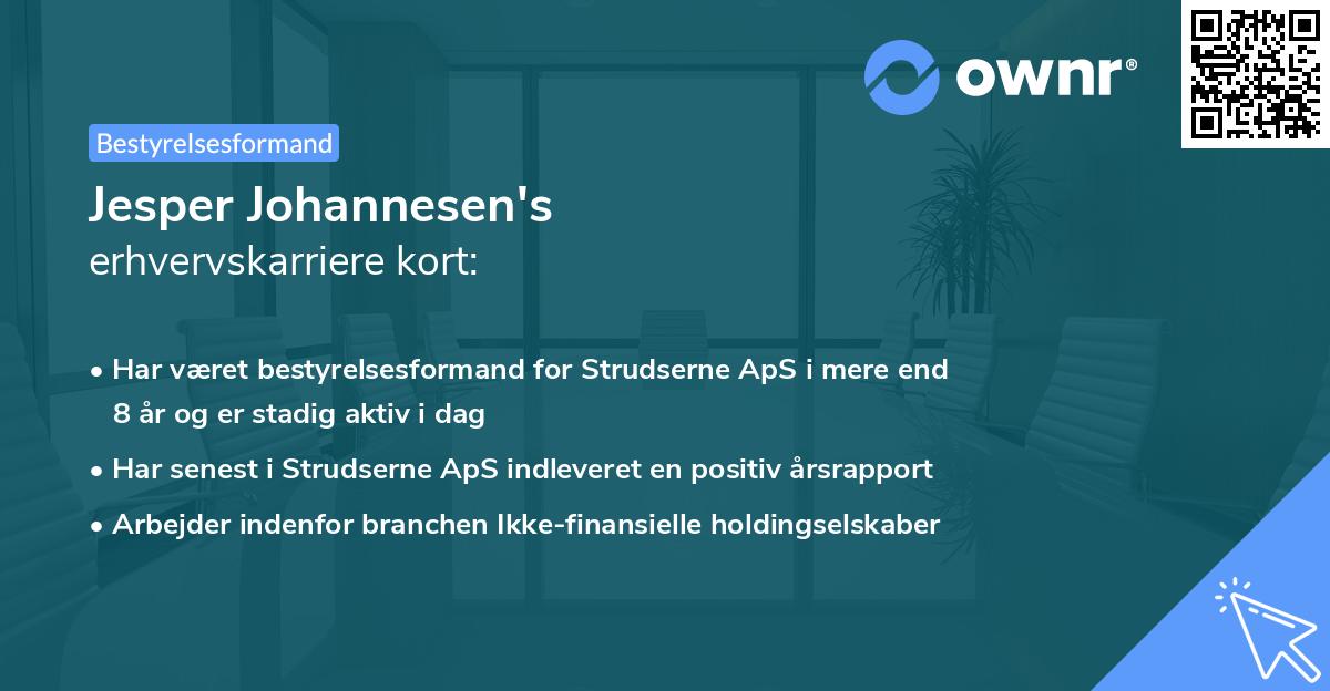 Jesper Johannesen's erhvervskarriere kort