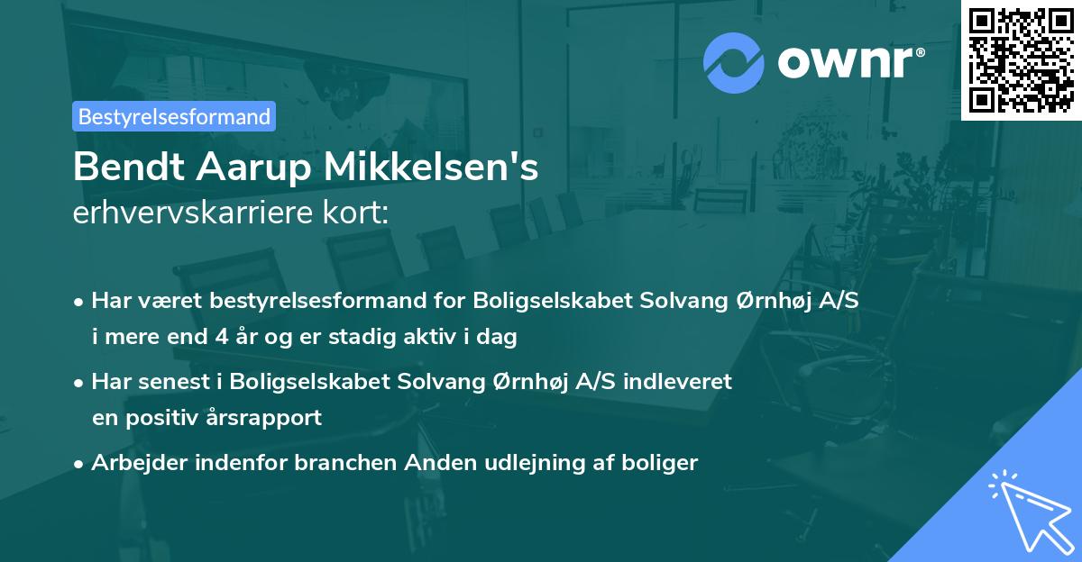 Bendt Aarup Mikkelsen's erhvervskarriere kort