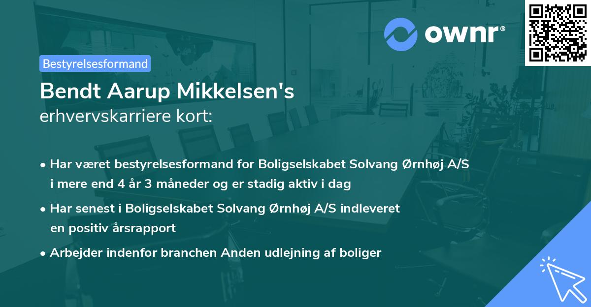 Bendt Aarup Mikkelsen's erhvervskarriere kort
