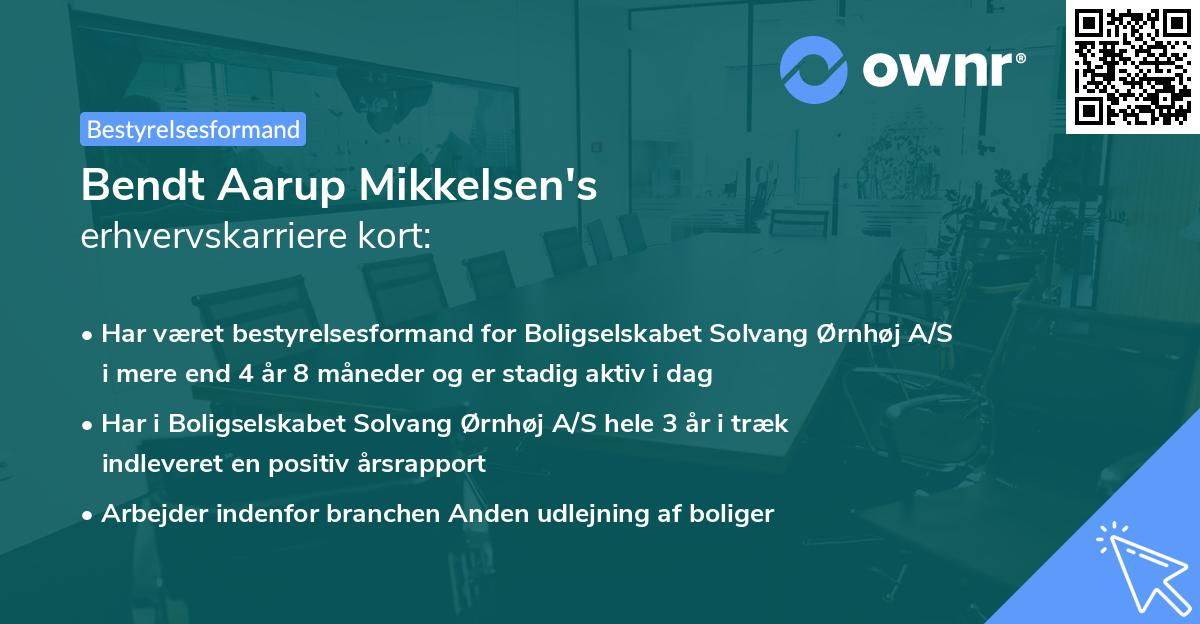 Bendt Aarup Mikkelsen's erhvervskarriere kort