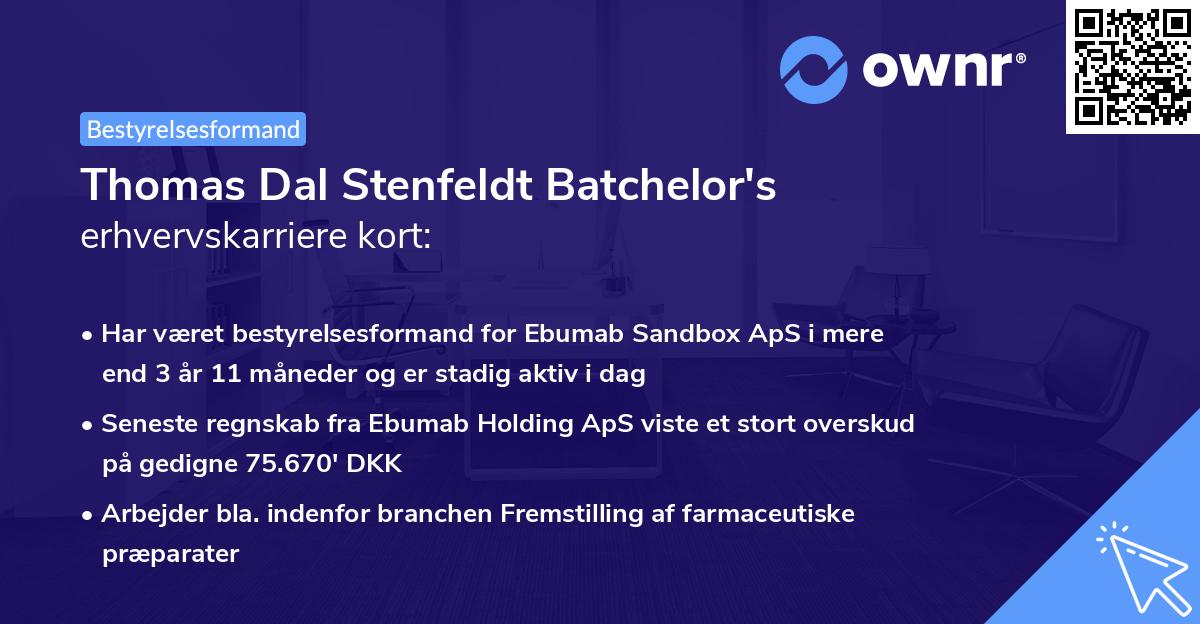Thomas Dal Stenfeldt Batchelor's erhvervskarriere kort
