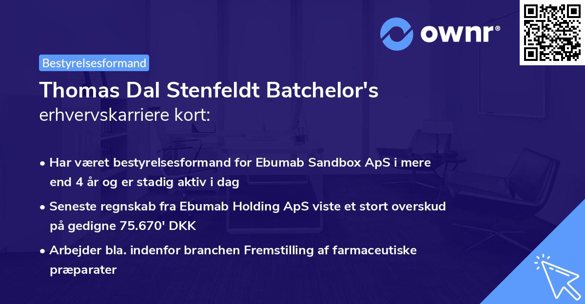 Thomas Dal Stenfeldt Batchelor's erhvervskarriere kort