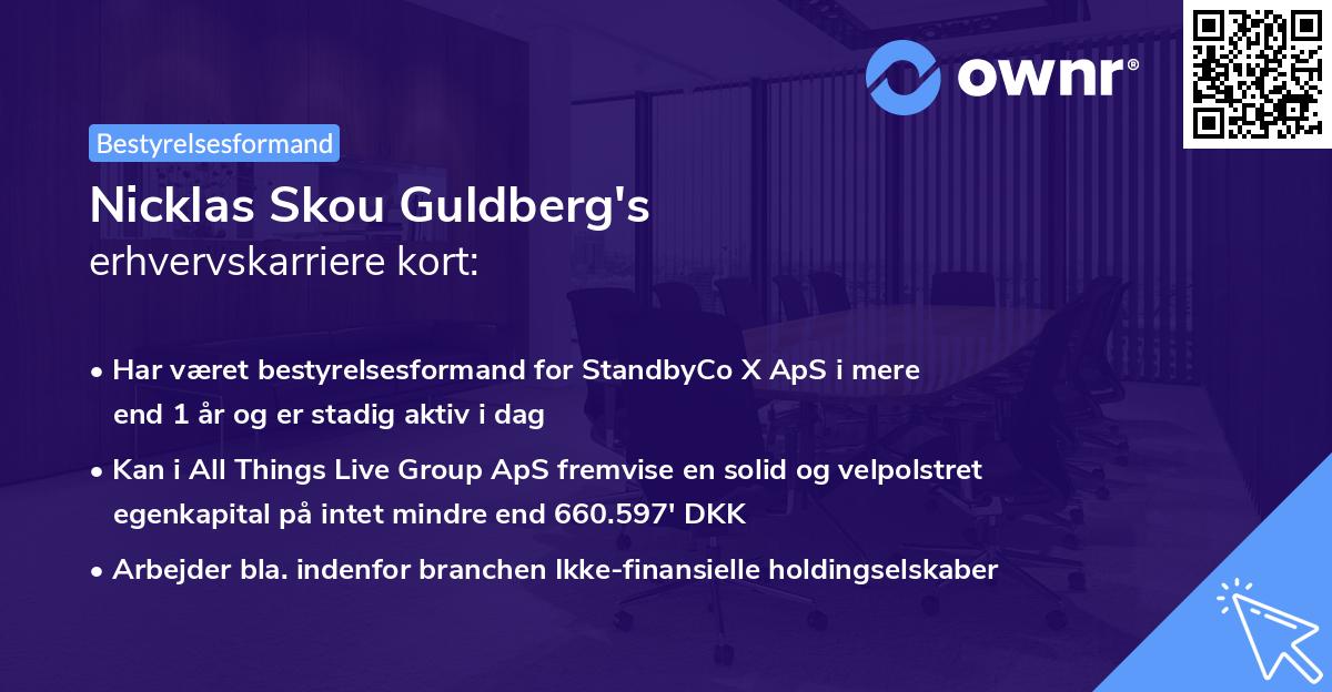 Nicklas Skou Guldberg's erhvervskarriere kort
