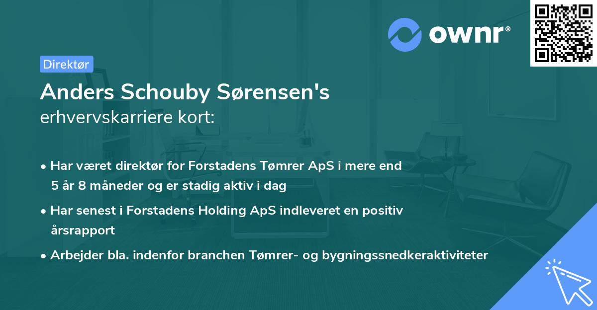 Anders Schouby Sørensen's erhvervskarriere kort