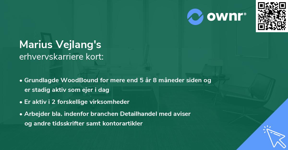 Marius Vejlang's erhvervskarriere kort