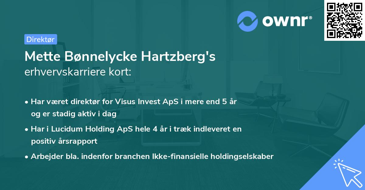 Mette Bønnelycke Hartzberg's erhvervskarriere kort