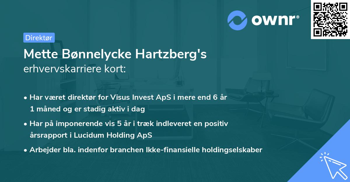 Mette Bønnelycke Hartzberg's erhvervskarriere kort
