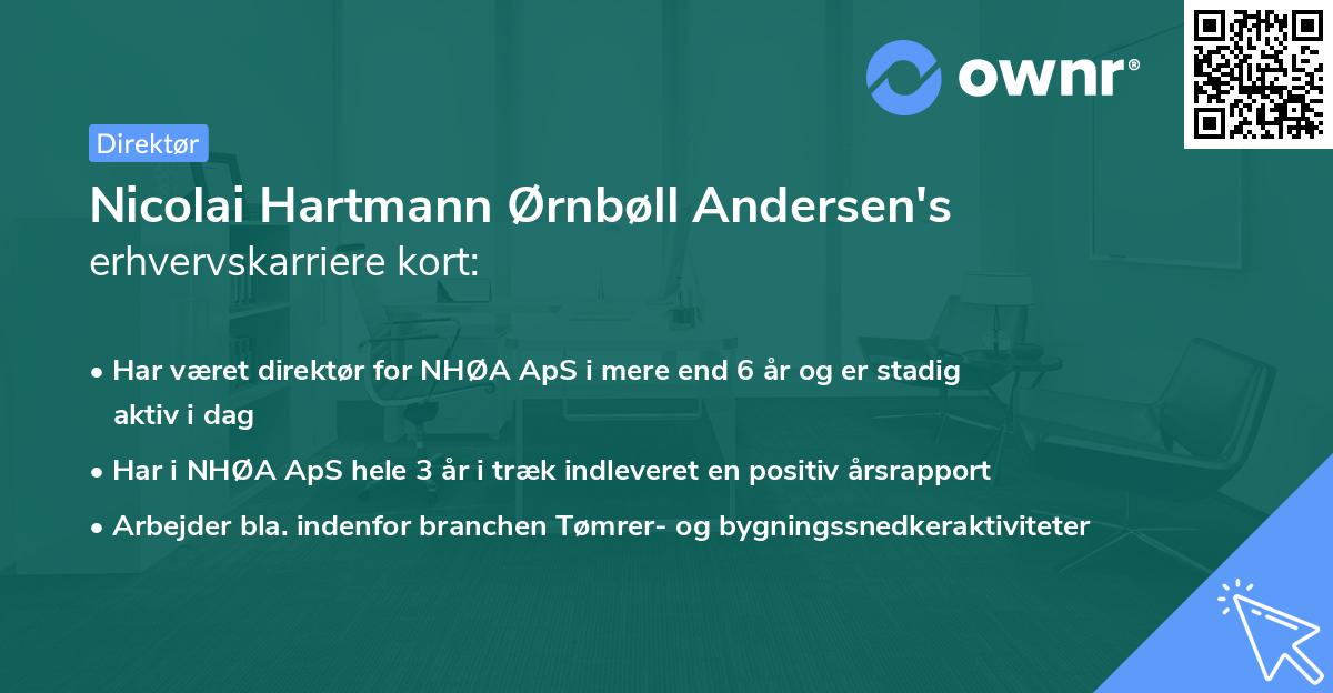 Nicolai Hartmann Ørnbøll Andersen's erhvervskarriere kort