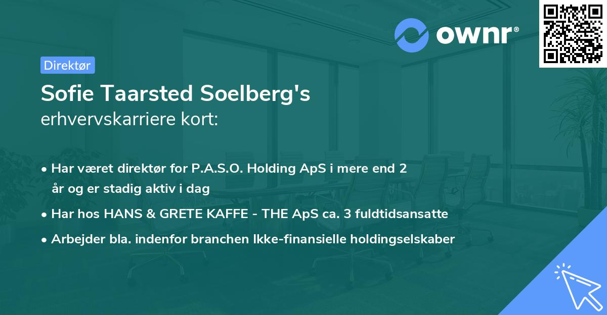 Sofie Taarsted Soelberg's erhvervskarriere kort