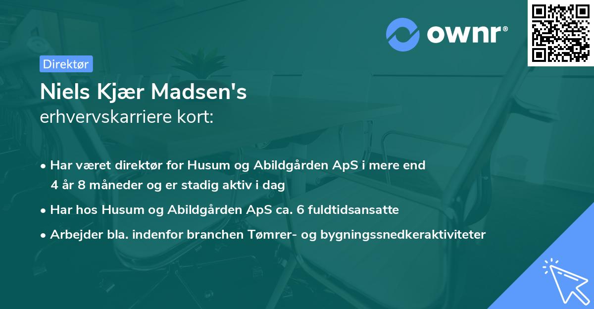 Niels Kjær Madsen's erhvervskarriere kort