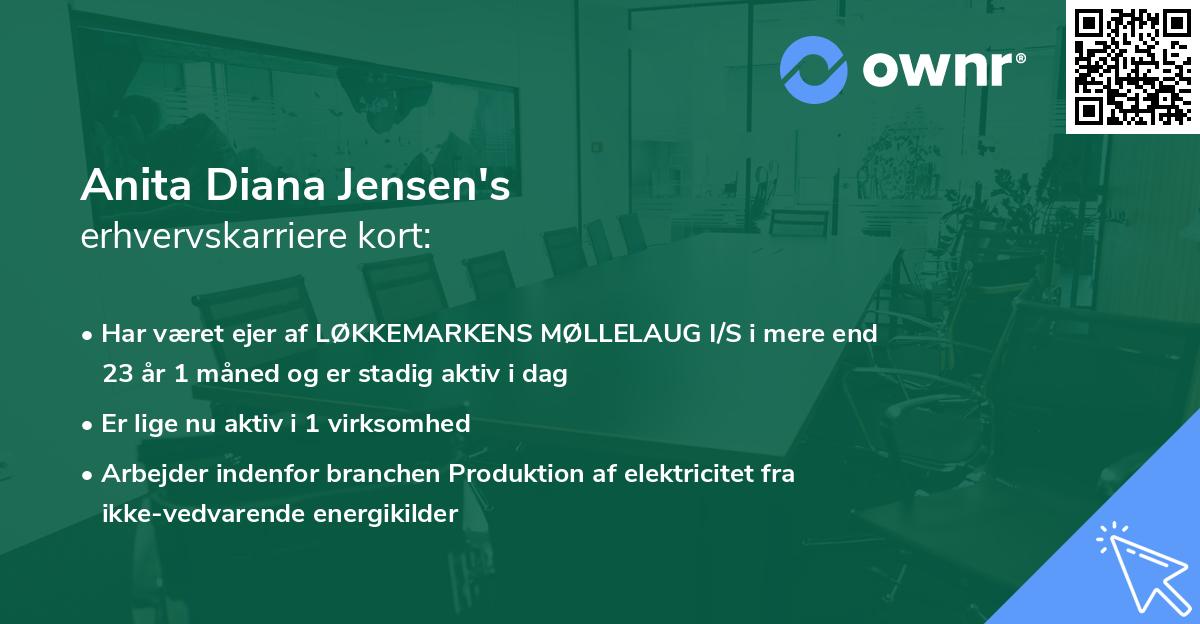 Anita Diana Jensen's erhvervskarriere kort