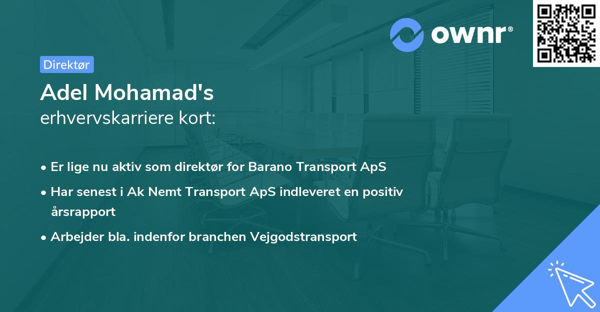 Adel Mohamad's erhvervskarriere kort