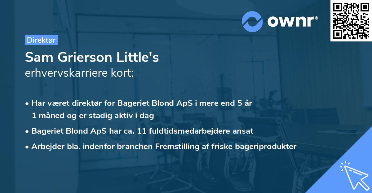 Sam Grierson Little's erhvervskarriere kort