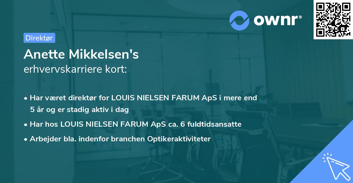 Anette Mikkelsen's erhvervskarriere kort