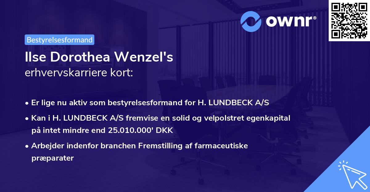 Ilse Dorothea Wenzel's erhvervskarriere kort
