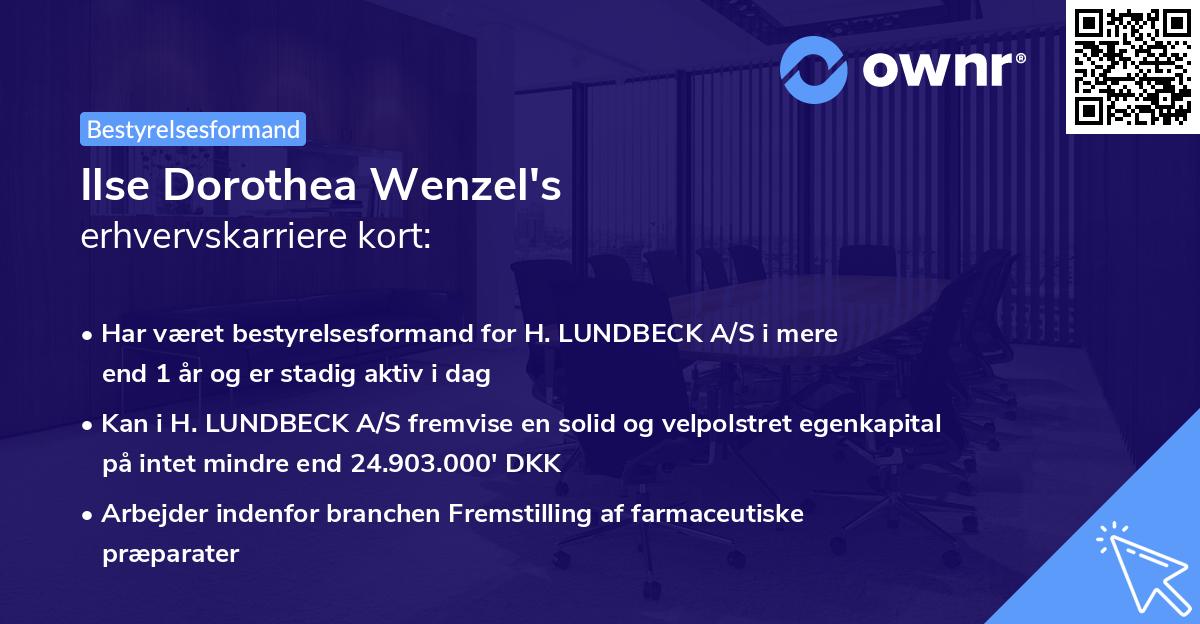 Ilse Dorothea Wenzel's erhvervskarriere kort