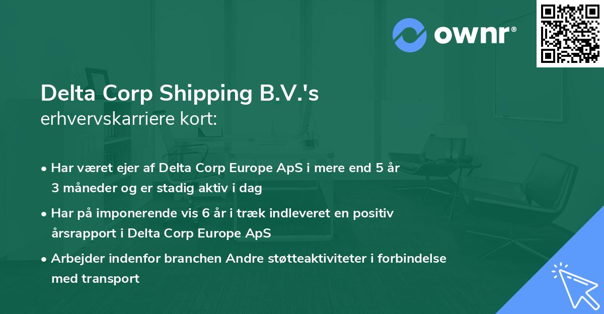 Delta Corp Shipping B.V.'s erhvervskarriere kort