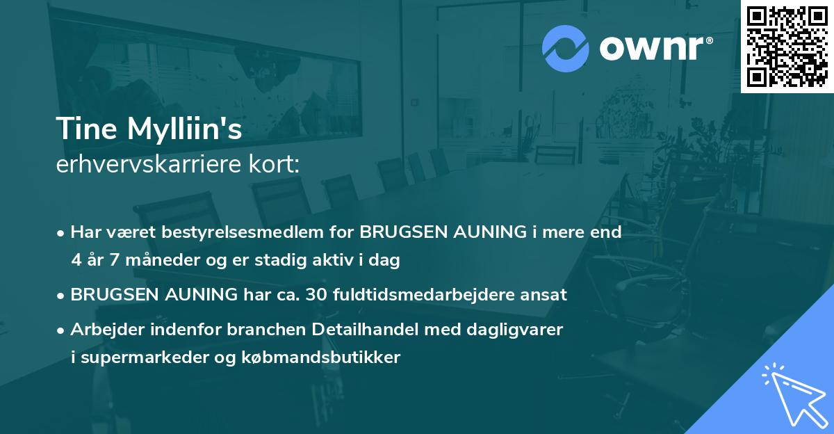 Tine Mylliin's erhvervskarriere kort