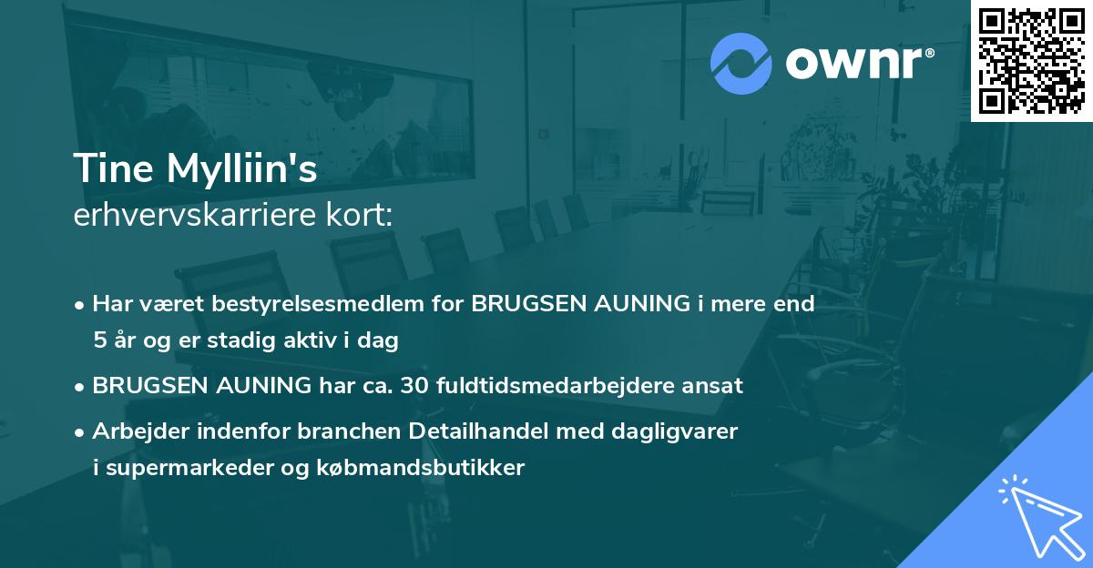 Tine Mylliin's erhvervskarriere kort