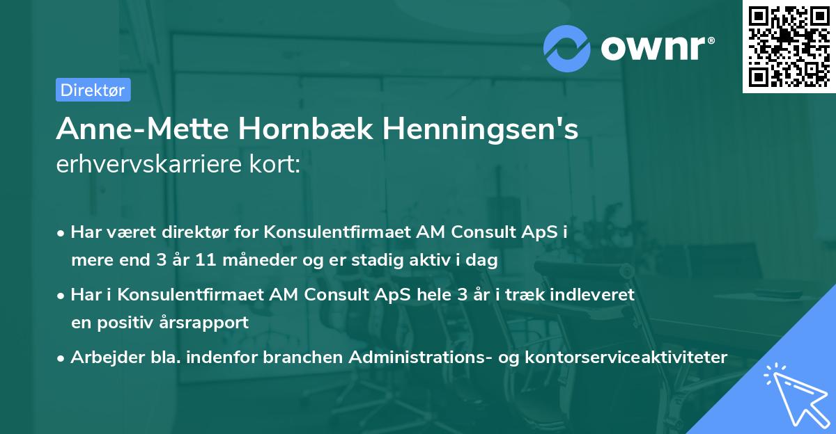 Anne-Mette Hornbæk Henningsen's erhvervskarriere kort