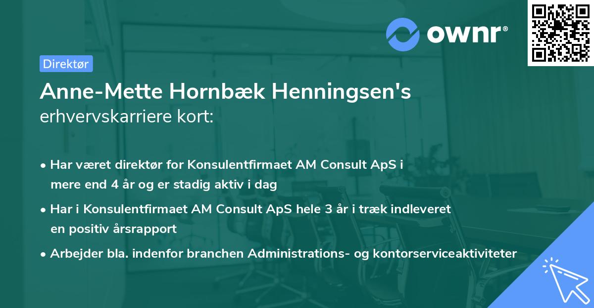Anne-Mette Hornbæk Henningsen's erhvervskarriere kort