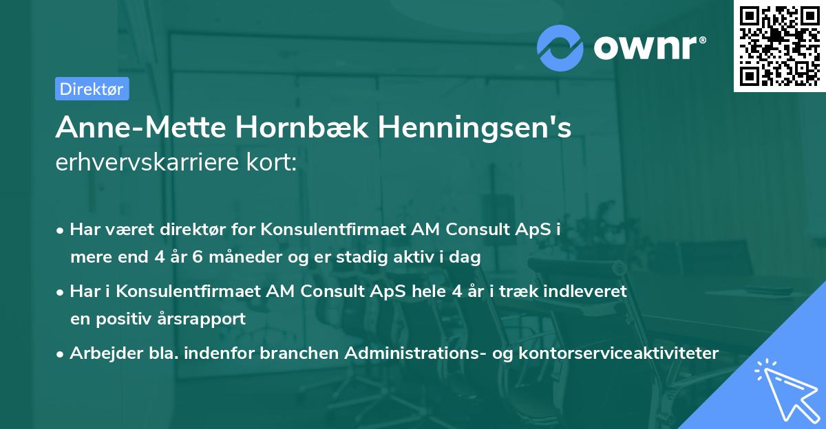 Anne-Mette Hornbæk Henningsen's erhvervskarriere kort