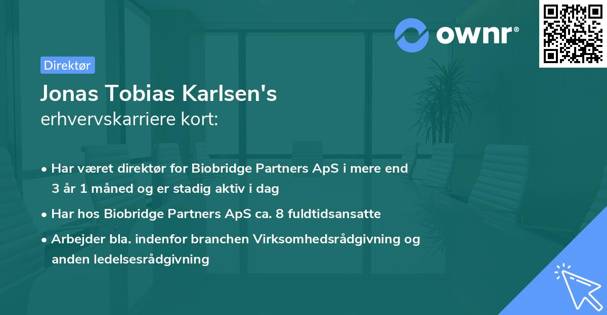 Jonas Tobias Karlsen's erhvervskarriere kort