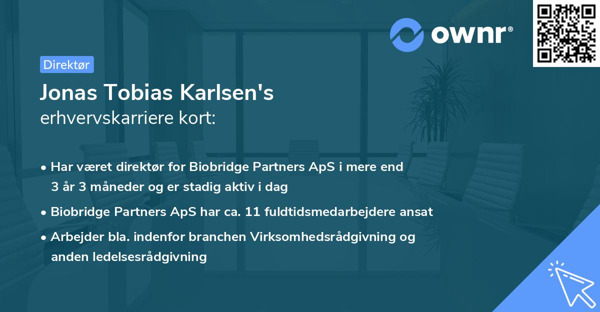 Jonas Tobias Karlsen's erhvervskarriere kort